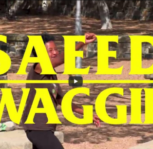 SLAPPY SKATE CO / Welcomes SAEED WAGGIE to the Family